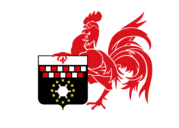 Charleroi flag