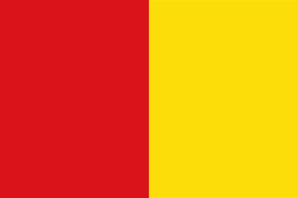 Luik flag