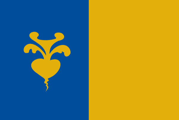 Sint Niklaas flag
