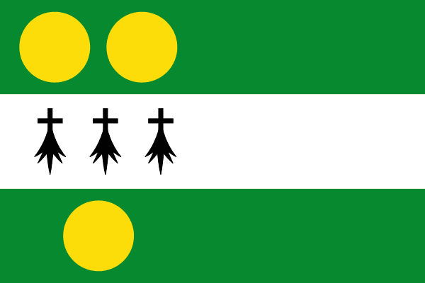 Anthisnes flag