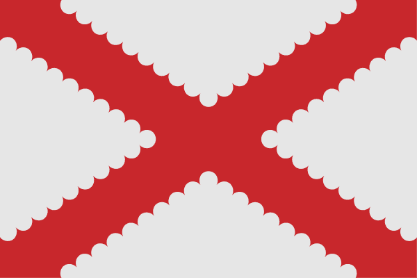 Bertem flag