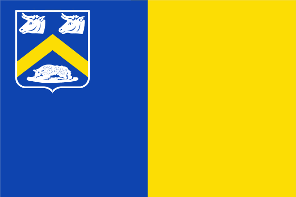 Essen flag