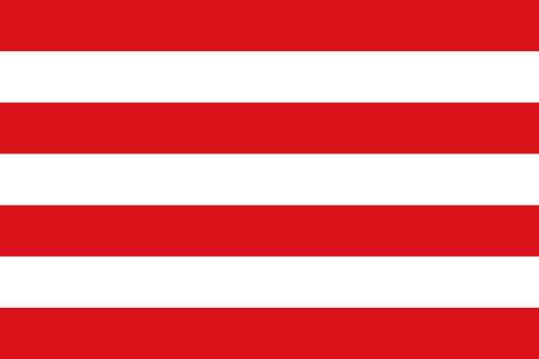 Hulshout flag