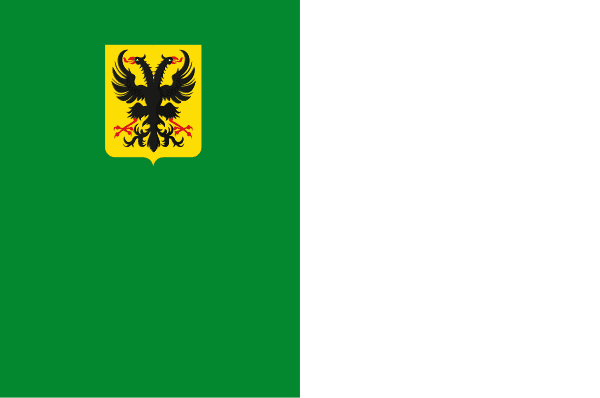Ronse flag