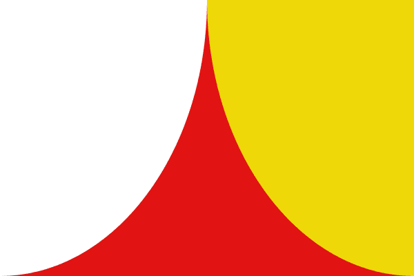 Steenokkerzeel flag